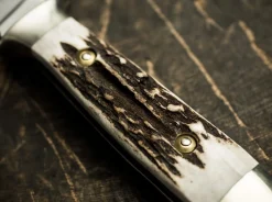 Försternicker Hirschhorn><noscript><img width=