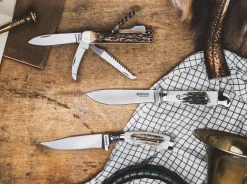 Försternicker Hirschhorn><noscript><img width=