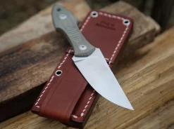 GMF3><noscript><img width=