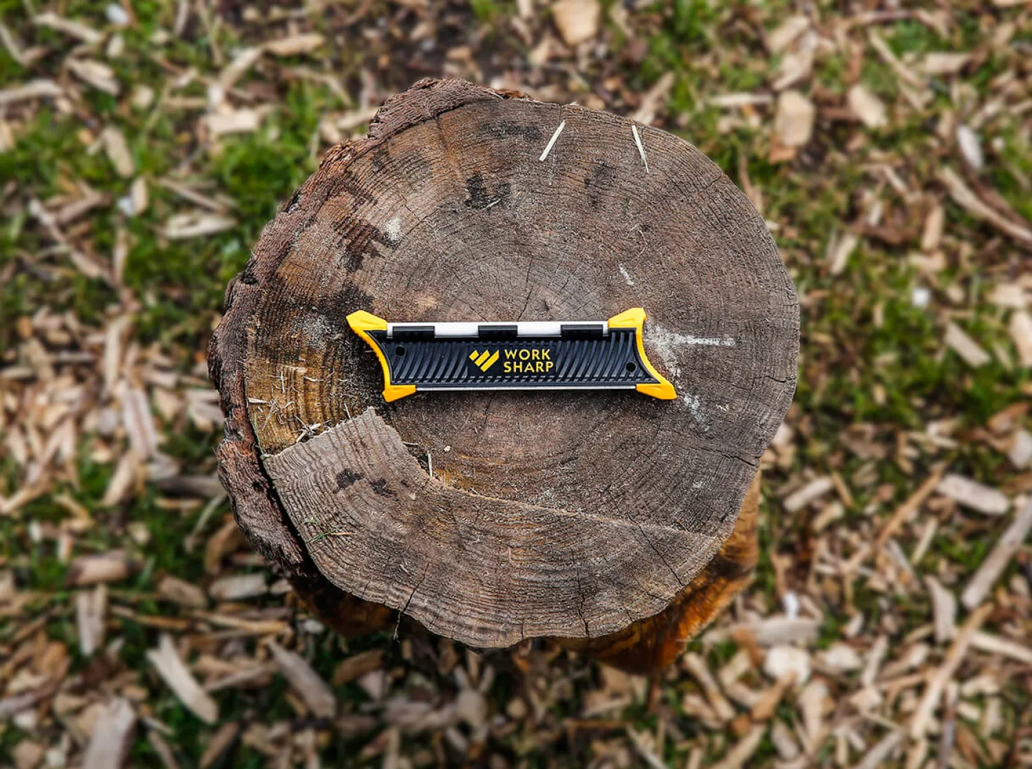 Guided Pocket Sharpener>Work Sharp Discount