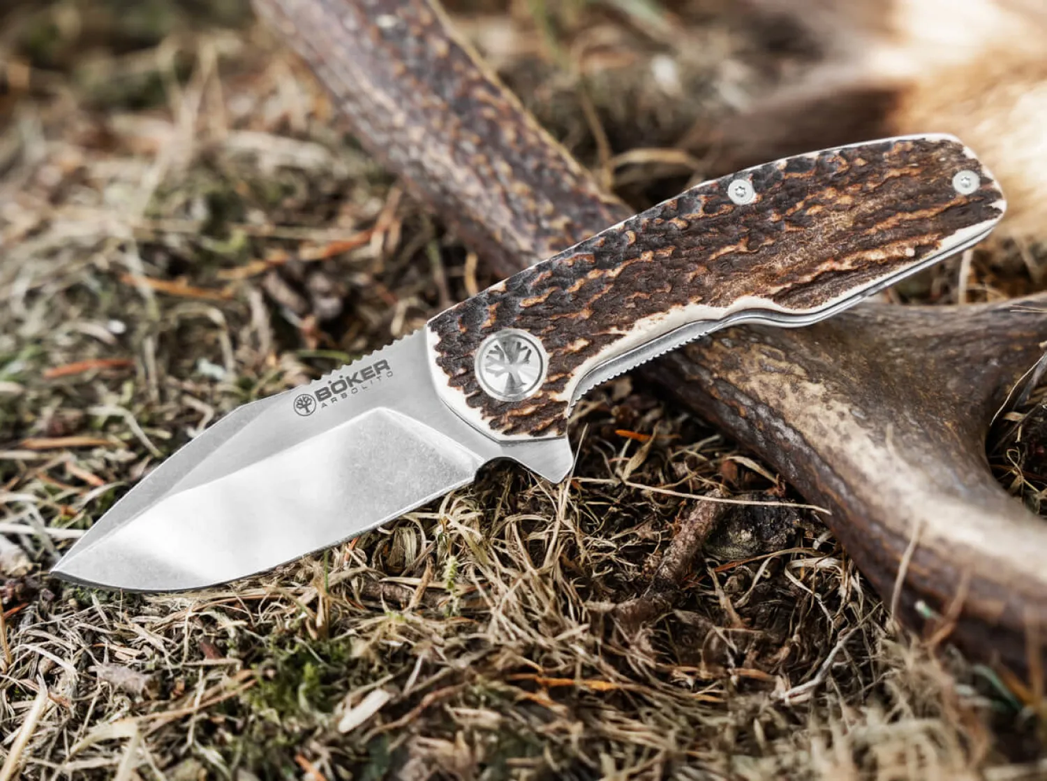 Heroína Hirschhorn>Böker Arbolito Sale