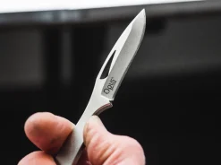 Islero><noscript><img width=