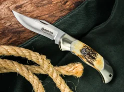 Junior Scout Hirschhorn><noscript><img width=