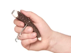 Korkenzieher Hirschhorn><noscript><img width=