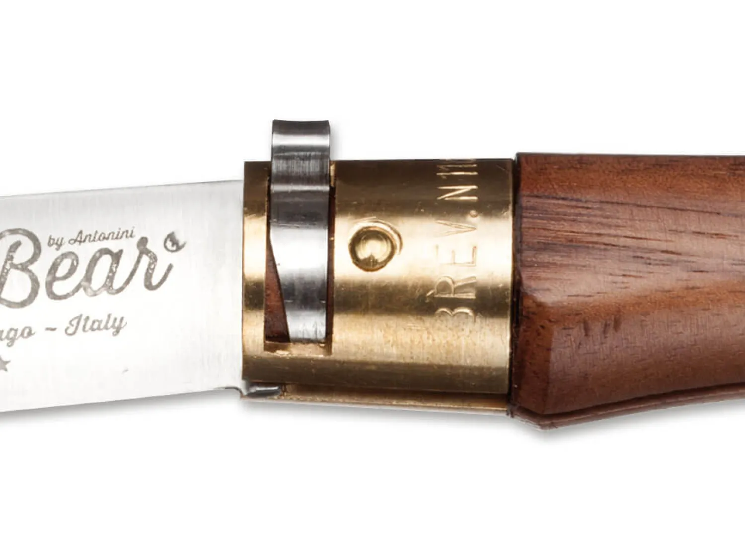 L Walnuss>Old Bear Online