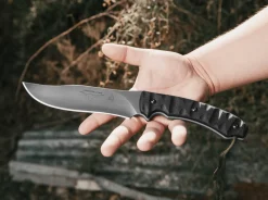 Longhorn Bowie><noscript><img width=