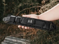 Longhorn Bowie><noscript><img width=