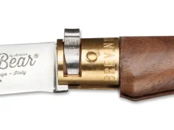 M Walnuss><noscript><img width=