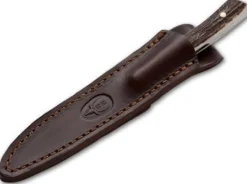 MA Stag>Muela Discount