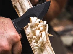 Micro Tracker><noscript><img width=