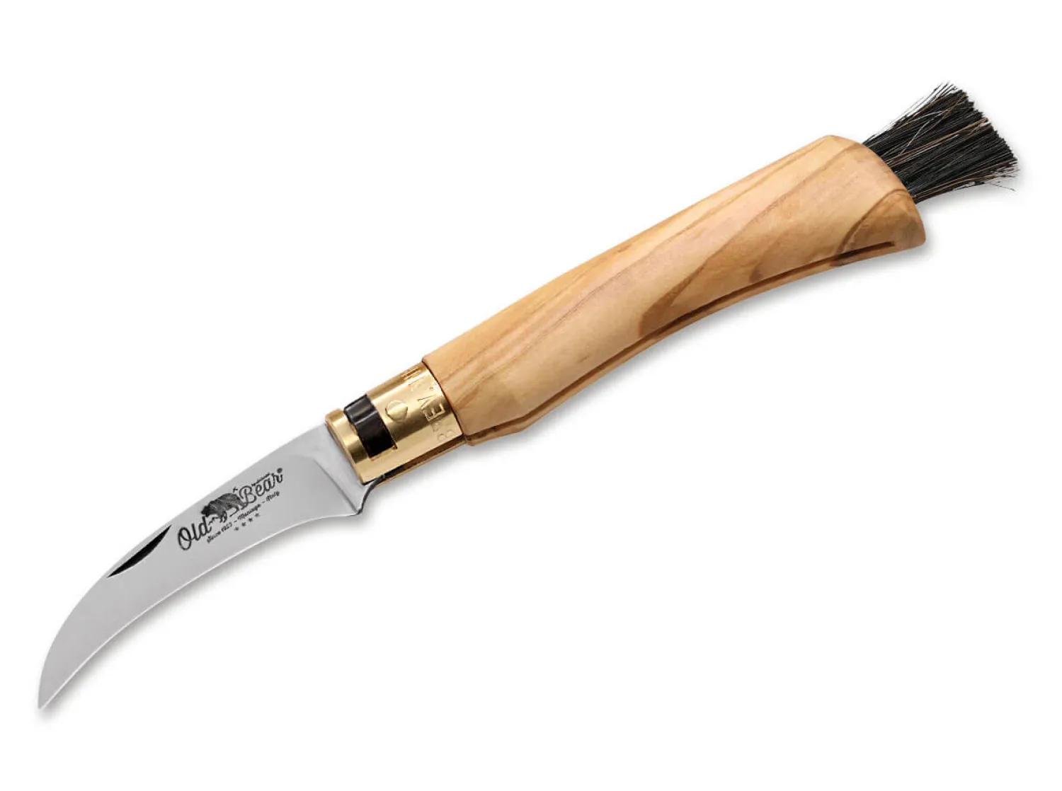 Mushroom Olive>Old Bear Discount