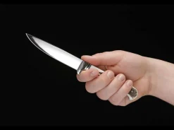 Nicker 11><noscript><img width=