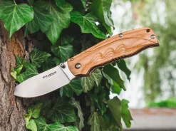 Pakka Hunter><noscript><img width=