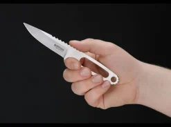 Para-1><noscript><img width=