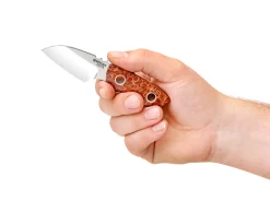 Pry Mini 1674><noscript><img width=