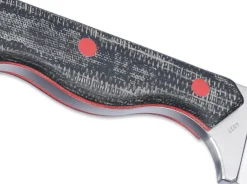 Razel Fixed><noscript><img width=