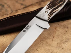 Relincho Stag><noscript><img width=