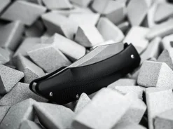 SamoSaur><noscript><img width=