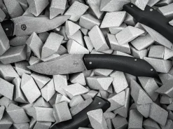 SamoSaur><noscript><img width=