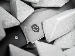 SamoSaur><noscript><img width=