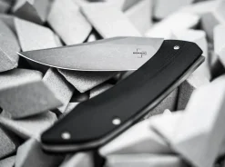 SamoSaur><noscript><img width=