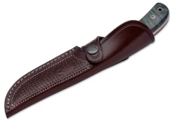 Setter Anniversary>Muela