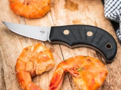 Shrimp><noscript><img width=