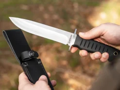 Sledgedog><noscript><img width=