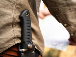 Sledgedog><noscript><img width=