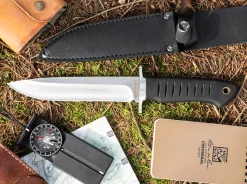 Sledgedog><noscript><img width=