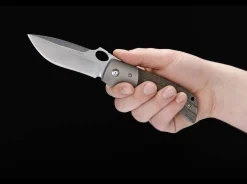 Squail><noscript><img width=