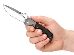 Squail Junior><noscript><img width=