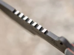 SXB><noscript><img width=