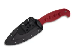 Temperance Trainer 420J2 Sprint Run>Spyderco New