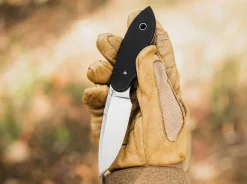 Trailmate><noscript><img width=