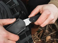 Trailmate><noscript><img width=