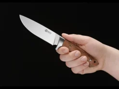 Trapper><noscript><img width=