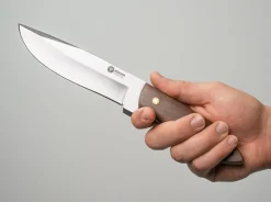 Venador><noscript><img width=