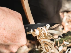 Vigtig><noscript><img width=