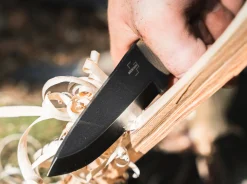 Vigtig><noscript><img width=