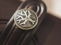 Vultur><noscript><img width=