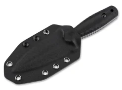 W1><noscript><img width=