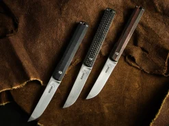 Wasabi CF><noscript><img width=