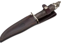 Wildboar Hirschhorn>Muela Hot