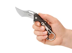 Wildcat><noscript><img width=