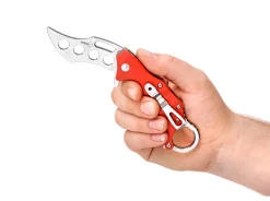 Wildcat Trainer><noscript><img width=