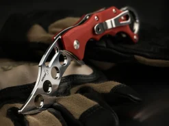 Wildcat Trainer><noscript><img width=