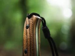 Zebra Drop><noscript><img width=