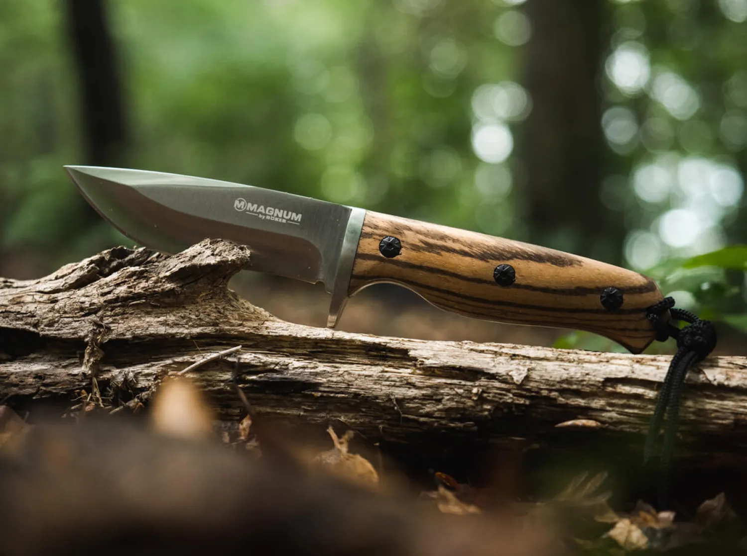 Zebra Drop>Magnum New