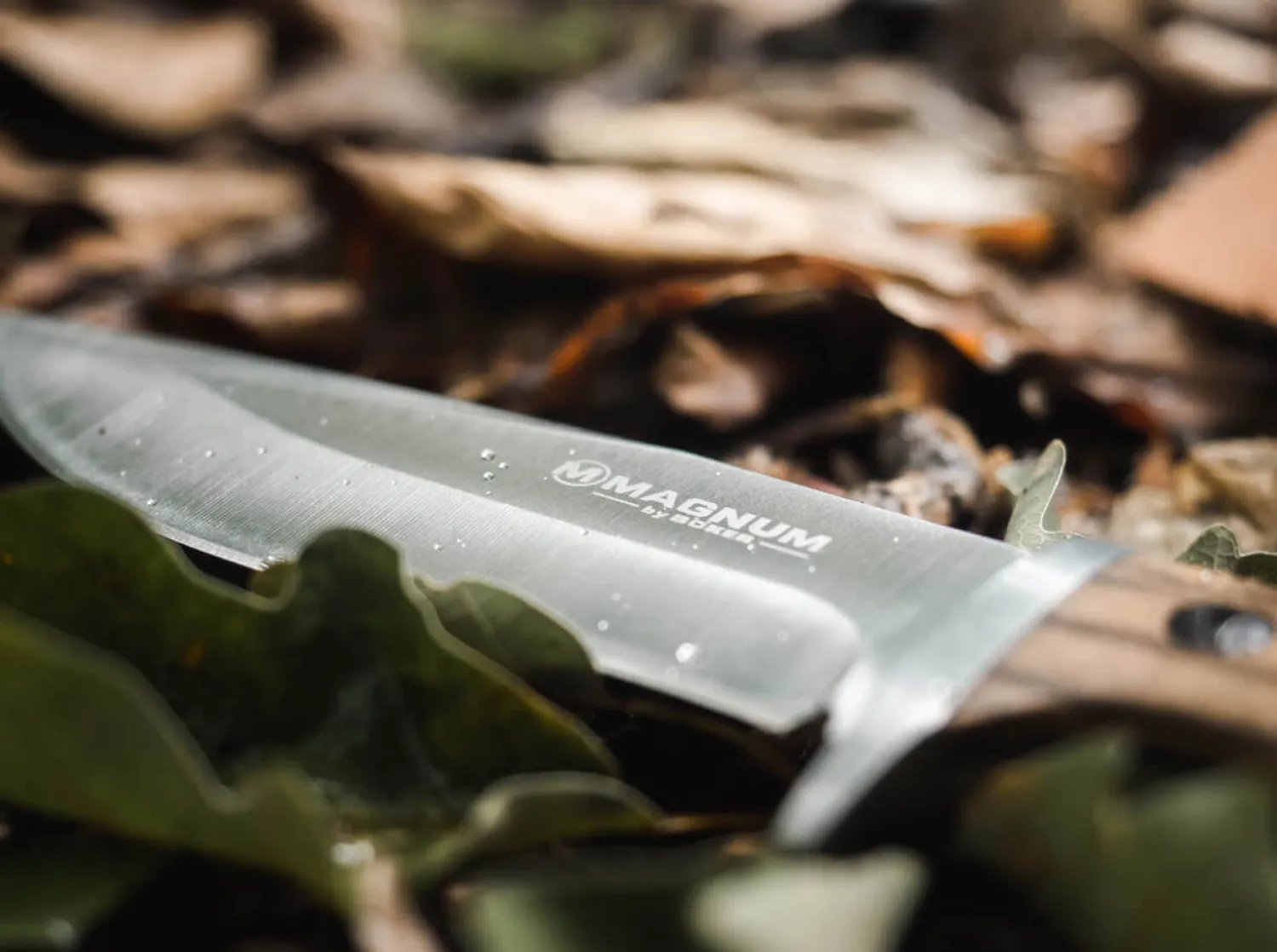 Zebra Drop>Magnum New